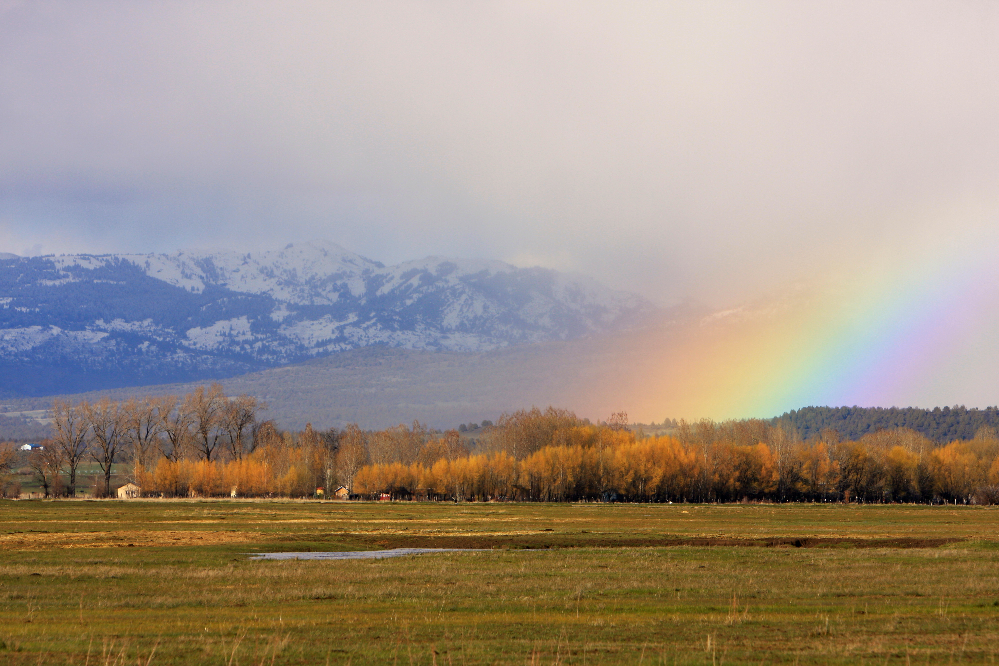 Field with Rainbow